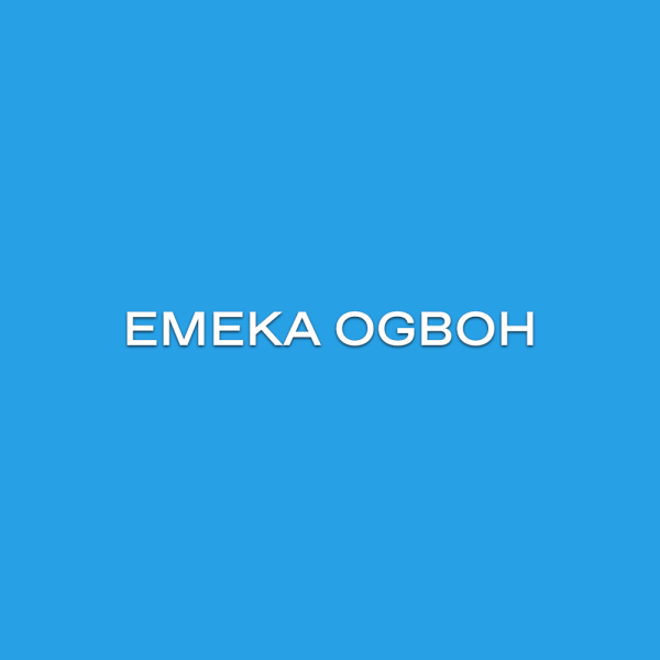 Emeka Ogboh © Photo by Michael Danner